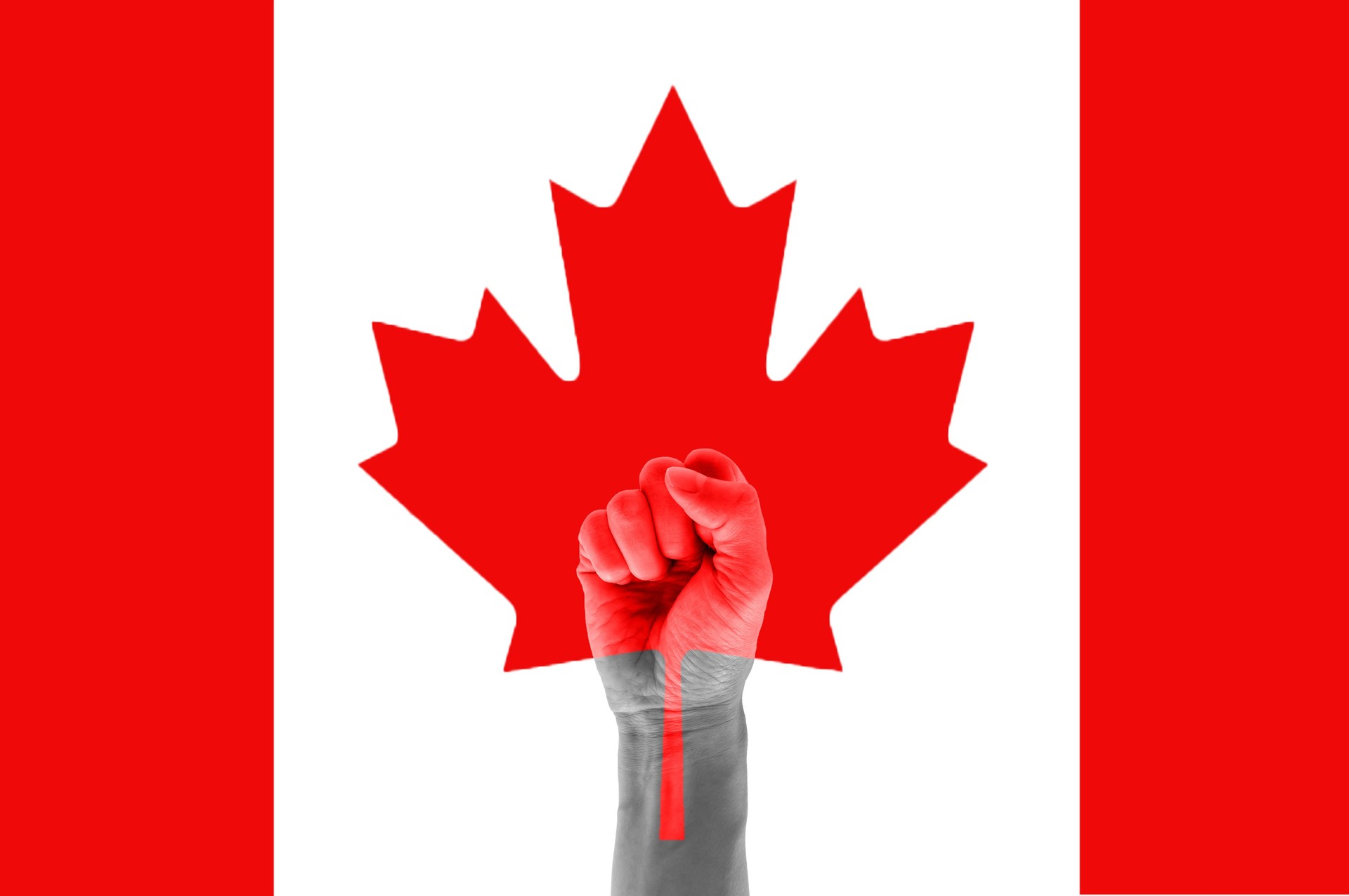 Raise male fist in protest under the Canada national flag. political, politic crisis poster,strength, power, concept of conflict.protest mandatory vaccinations.demonstration, revolution.social movement.